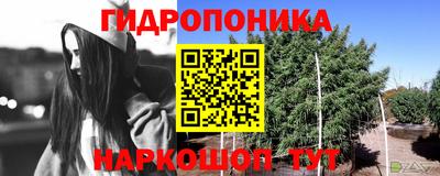 молекула духа Заволжье