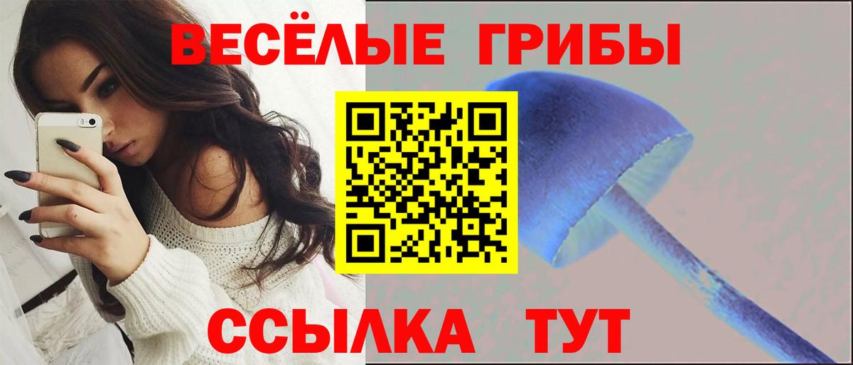 Майский  Галлюциногенные грибы Cubensis  Вход с VPN 
